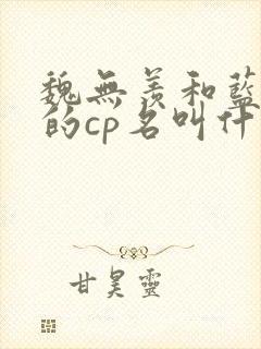 魏无羡和蓝忘机的cp名叫什么