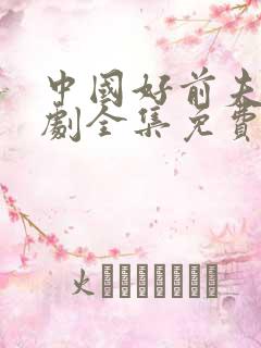 中国好前夫电视剧全集免费