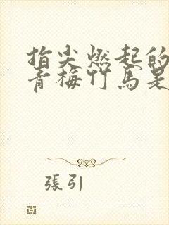 指尖燃起的热情青梅竹马是消防员