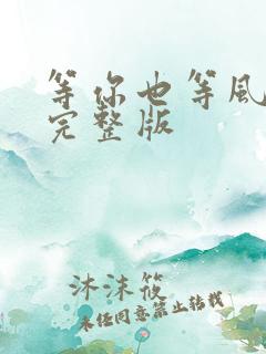 等你也等风原唱完整版