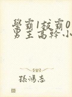 学霸1校霸0双男主高干小说