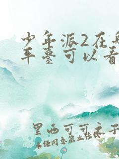 少年派2在哪个平台可以看