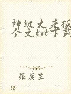 神级大老板下载全文txt下载