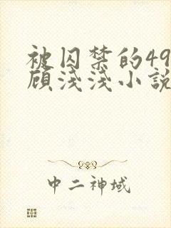 被囚禁的49天顾浅浅小说全文阅读无弹窗