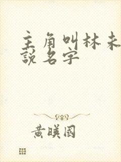 主角叫林未的小说名字