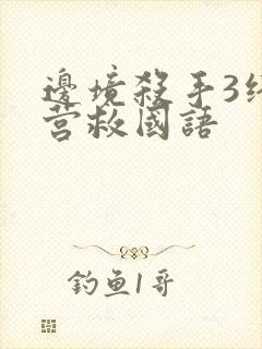 边境杀手3终极营救国语