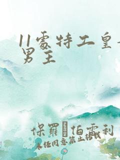 11处特工皇妃男主