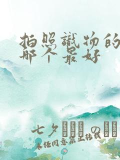 拍照识物的软件哪个最好