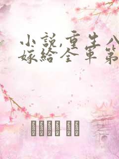 小说,重生八零嫁给全军第一硬汉