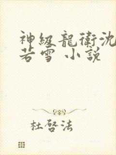 神级龙卫沈浪苏若雪 小说