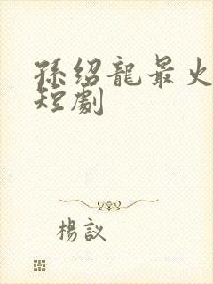 孙绍龙最火十部短剧