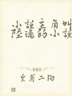 小说主角叫李易陆璃的小说