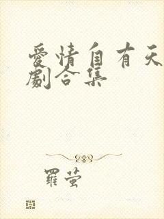 爱情自有天意短剧合集