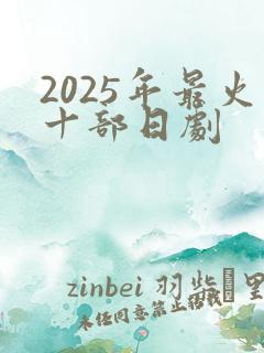 2025年最火十部日剧