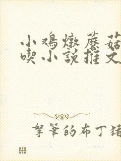 小鸡炖蘑菇真好吃小说推文