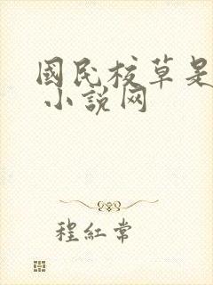 国民校草是女生 小说网