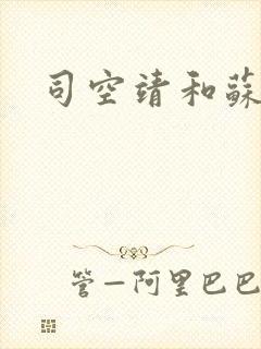 司空靖和苏月汐