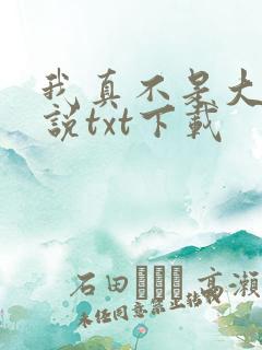 我真不是大佬小说txt下载