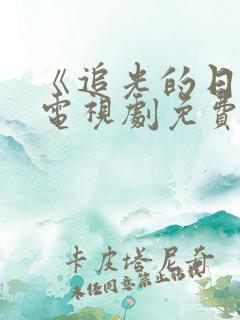 《追光的日子》电视剧免费观看