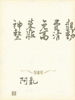 神墓免费观看完整版高清动漫在线