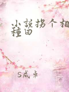 小说拐个相公来种田