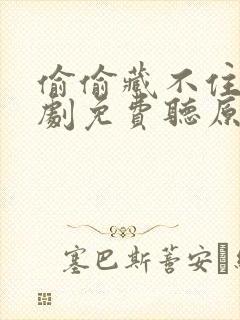 偷偷藏不住广播剧免费听原版