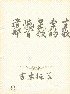 遗憾是常有吧是哪首歌的歌词