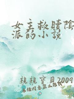 女主救赎阴暗反派的小说