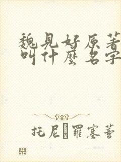 魏见好原著小说叫什么名字