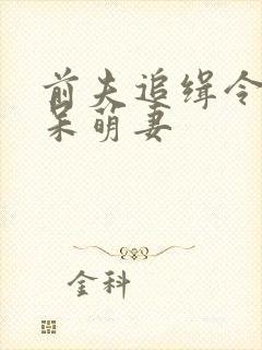 前夫追缉令腹黑呆萌妻