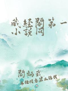 藏经阁第一精品小说网
