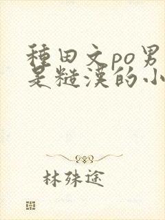 种田文po男主是糙汉的小说