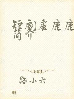 短剧卢鹿鹿演员简介