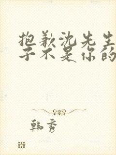 抱歉沈先生,孩子不是你的第二部