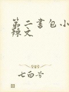 第二书包小说网辣文