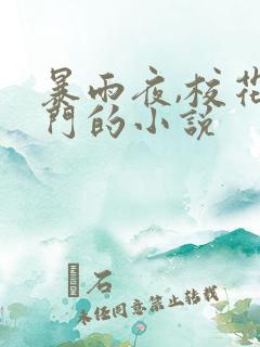 暴雨夜,校花敲门的小说