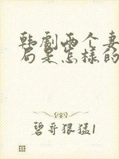 韩剧两个妻子结局是怎样的