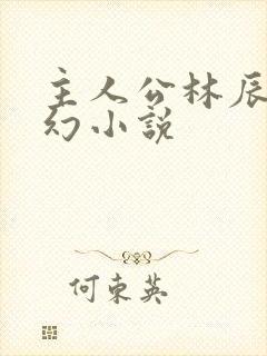 主人公林辰的玄幻小说