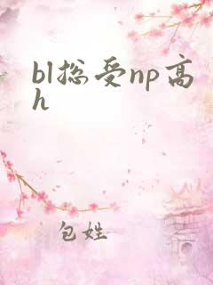 bl总受np高h