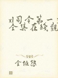 xl司令第一季全集在线观看完整版动漫