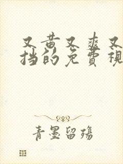 又黄又爽又无遮挡的免费视频