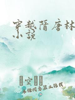 穿越隋唐林凡的小说