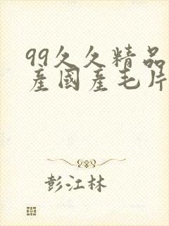 99久久精品国产国产毛片