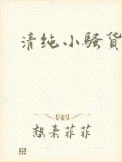 清纯小骚货小说