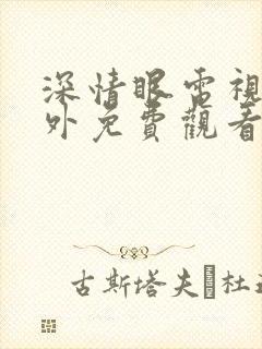 深情眼电视剧番外免费观看全集高清