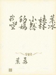 我的小姨叶凡司空嫣然林冰