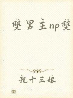 双男主np双性