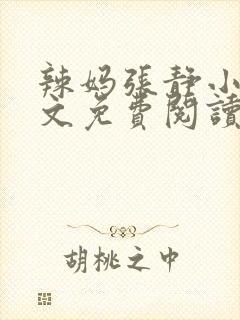 辣妈张静小说全文免费阅读最新章节