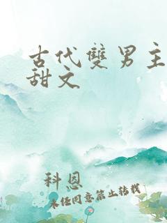 古代双男主小说甜文