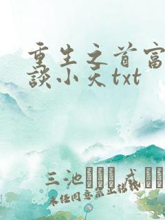 重生之首富人生谈小天txt